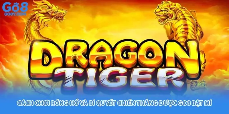 Cách Chơi Rồng Hổ Và Bí Quyết Chiến Thắng Được Go8 Bật Mí