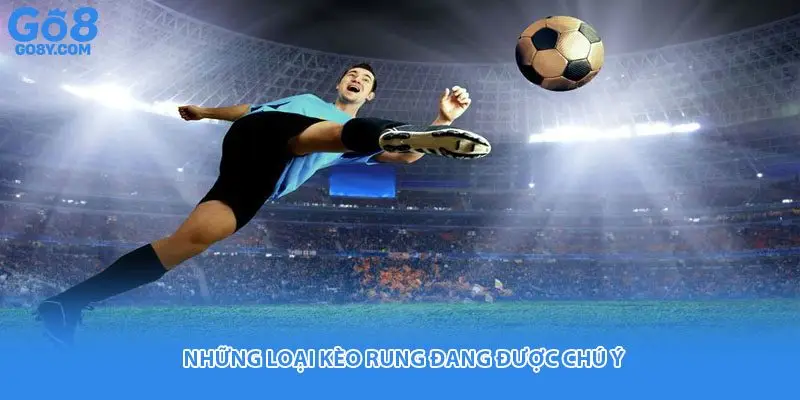 Những loại kèo rung đang được chú ý