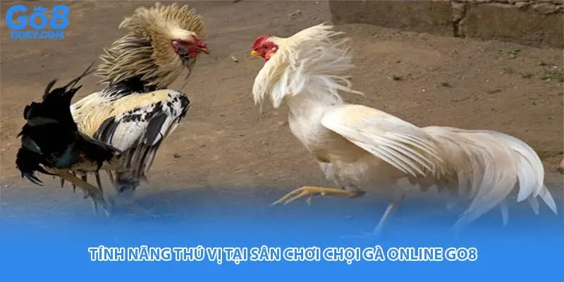 Tính năng thú vị tại sân chơi chọi gà online Go8