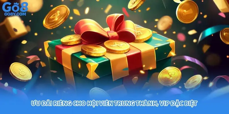 Ưu đãi riêng cho hội viên trung thành, VIP đặc biệt